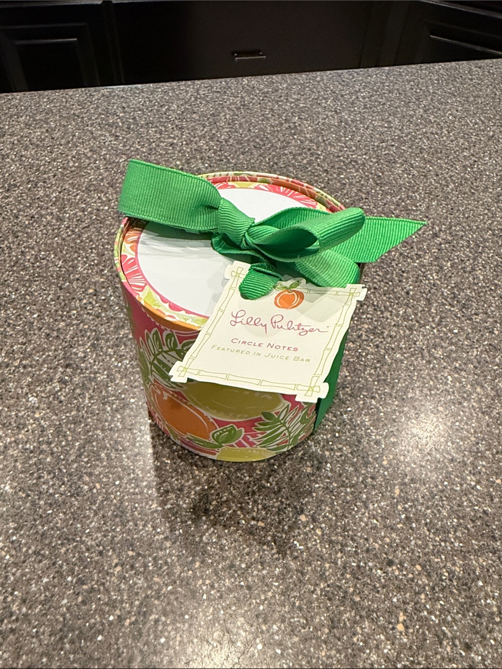 Lilly Pulitzer Circle Notes Gift Tin - Green Ribbon